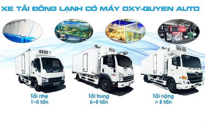 Top xe tải đông lạnh bảo ôn có máy oxy được ưa chuộng nhất